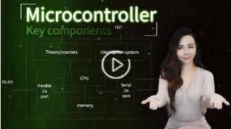 What is a microcontroller / Key components of the microcontroller