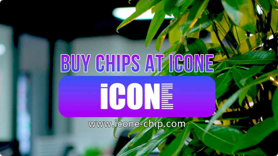 www.icone-chip.com